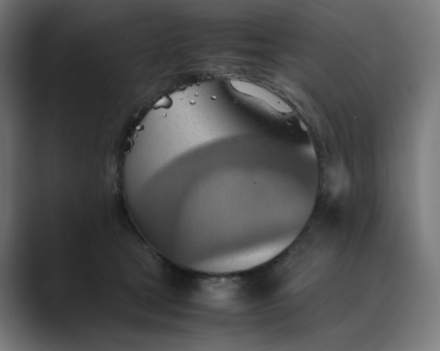 X0000089370465200706291250