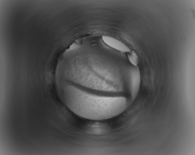 X0000089370467200706291250