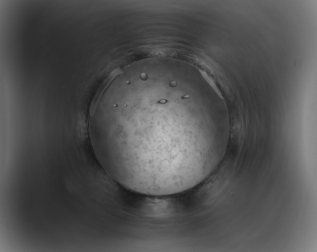X0000089370469200706291250