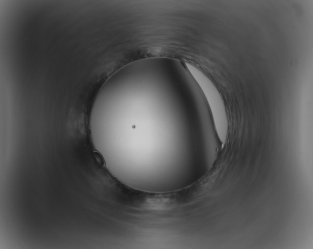 X0000089370470200706291250