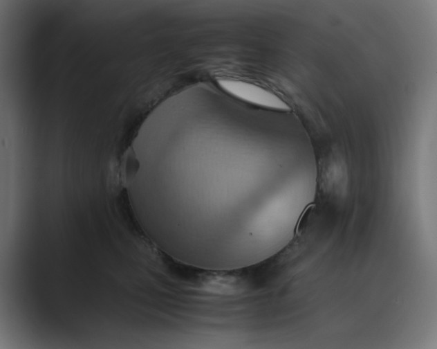 X0000089370471200706291250