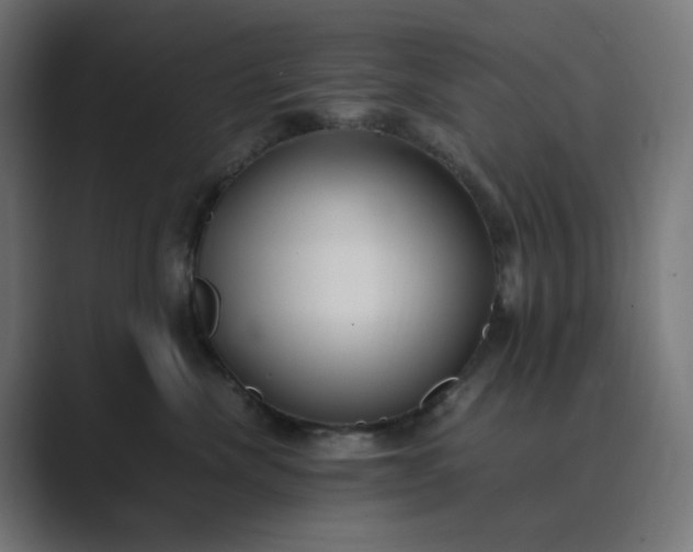 X0000089370476200706291250