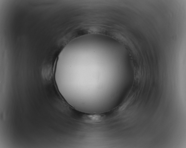 X0000089370478200706291250
