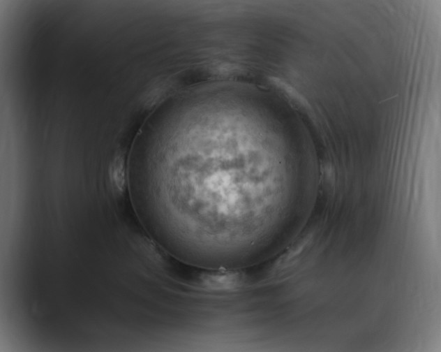 X0000089370479200706291250