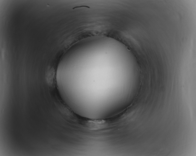 X0000089370480200706291250