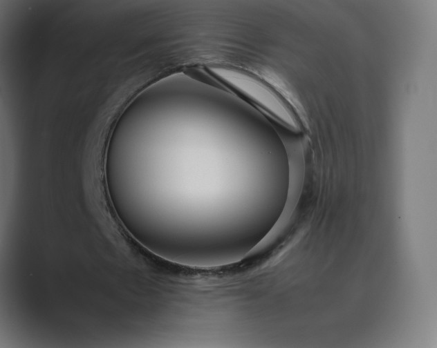 X0000089370481200706291250