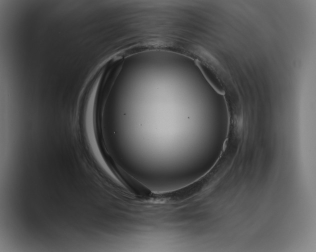 X0000089370484200706291250