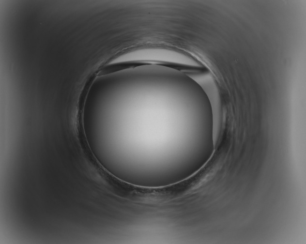X0000089370485200706291250