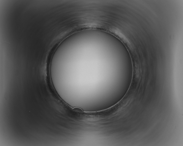 X0000089370486200706291250