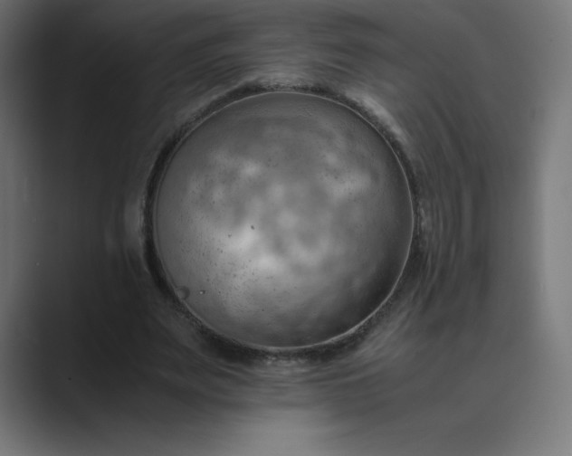 X0000089370487200706291250