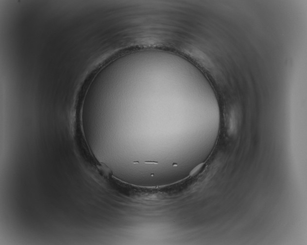 X0000089370488200706291250