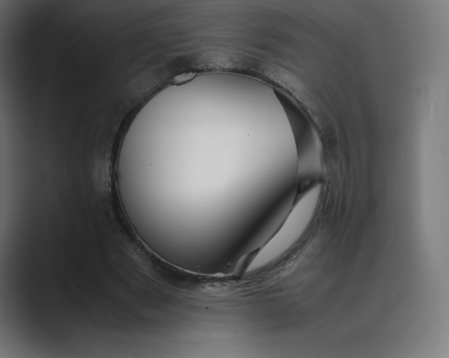 X0000089370489200706291250