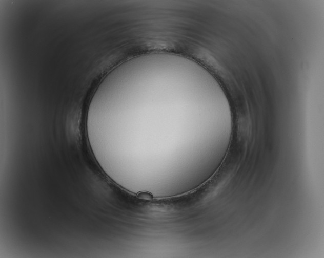 X0000089370490200706291250