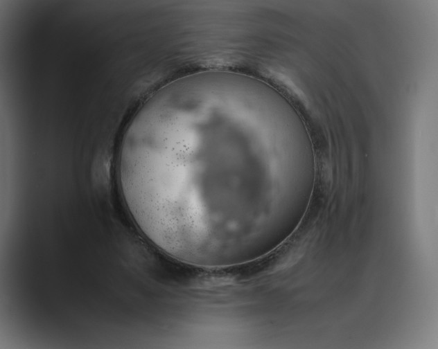 X0000089370491200706291250