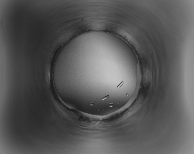 X0000089370493200706291250