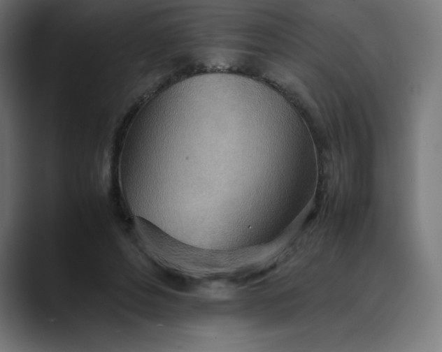 X0000089370496200706291250