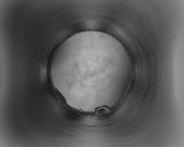 X0000089370500200706291250