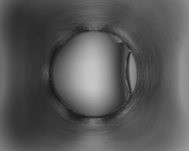 X0000089370501200706291250