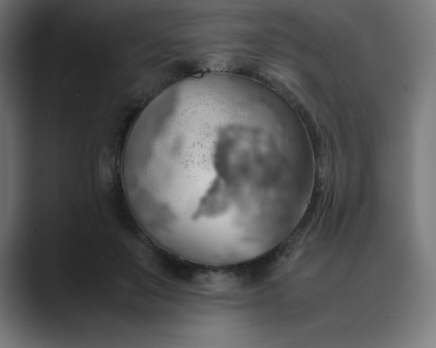 X0000089370503200706291250