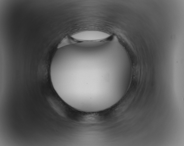 X0000089370505200706291249