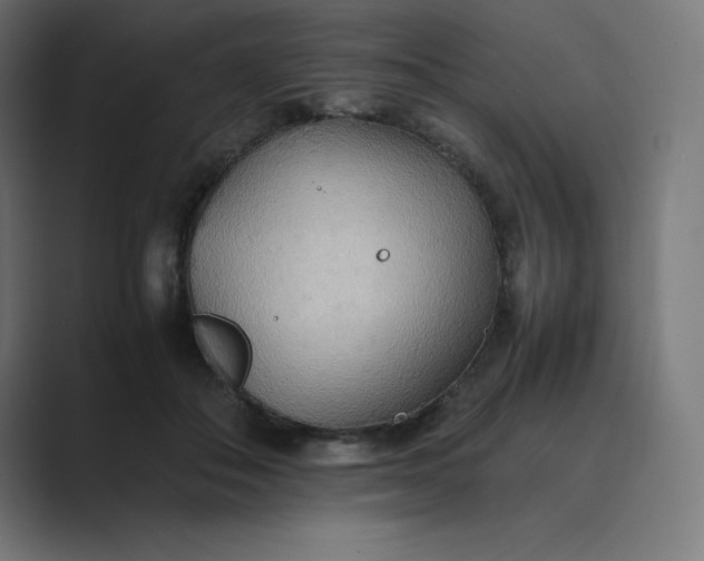 X0000089370506200706291249