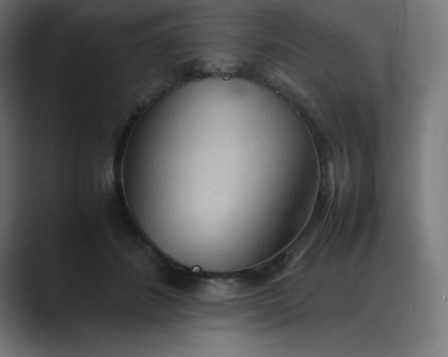 X0000089370508200706291249