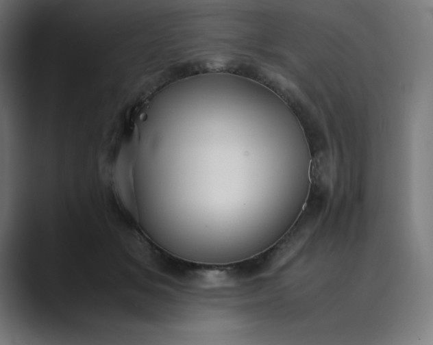 X0000089370509200706291249