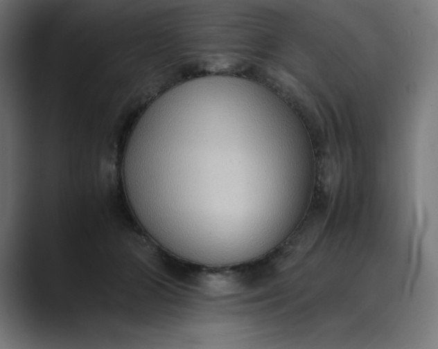 X0000089370510200706291249