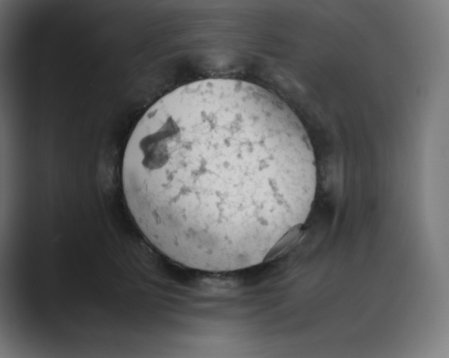 X0000089370515200706291249
