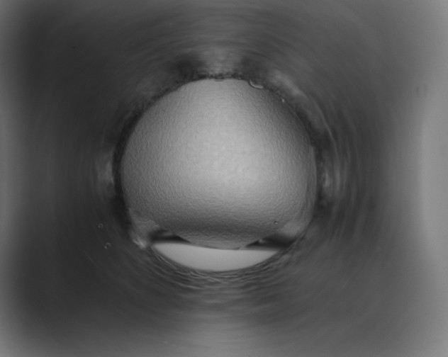 X0000089370516200706291249