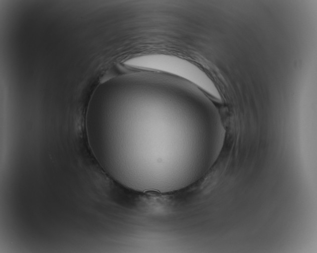 X0000089370517200706291249