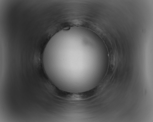 X0000089370518200706291249