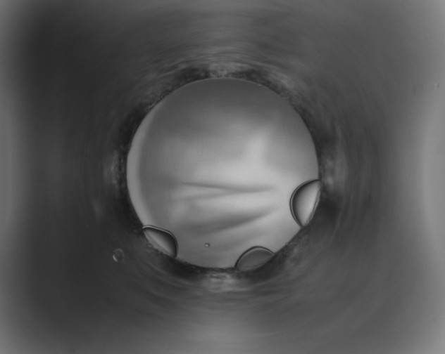 X0000089370519200706291249