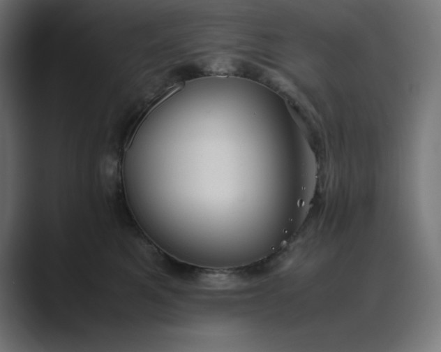 X0000089370521200706291249