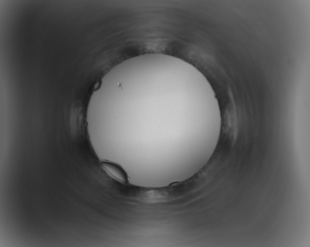 X0000089370522200706291249