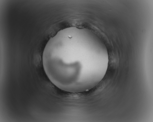 X0000089370523200706291249