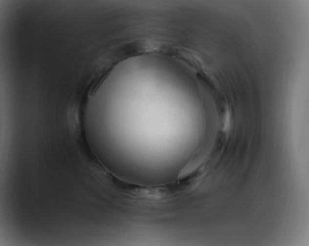 X0000089370524200706291249