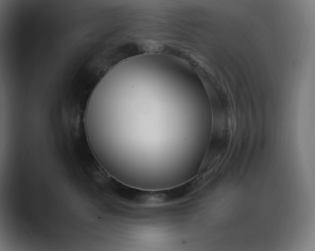 X0000089370525200706291249