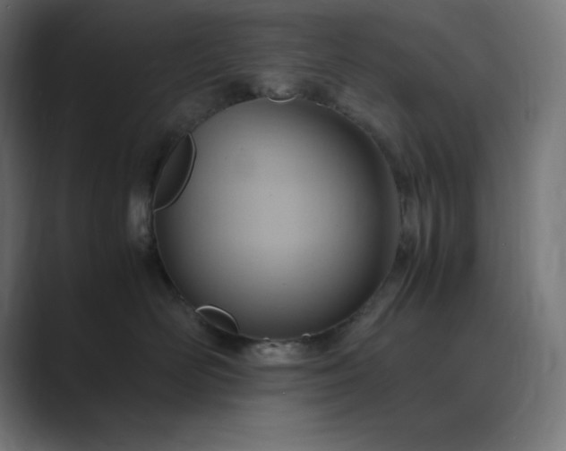 X0000089370526200706291249