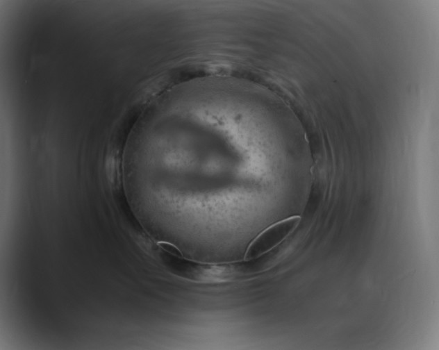 X0000089370527200706291249