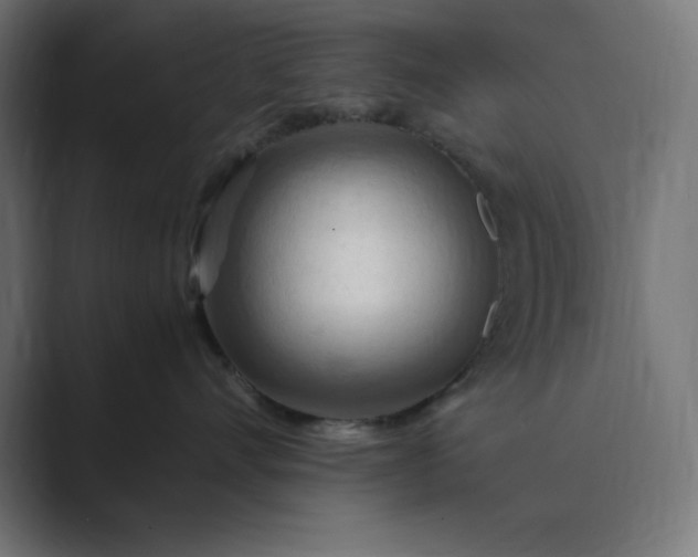 X0000089370528200706291249