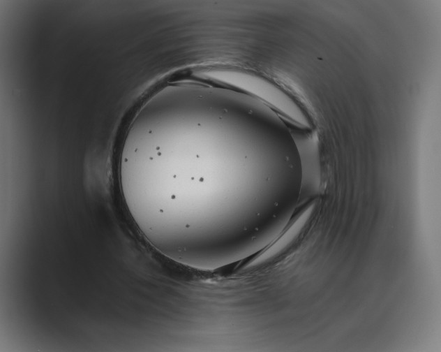 X0000089370532200706291249