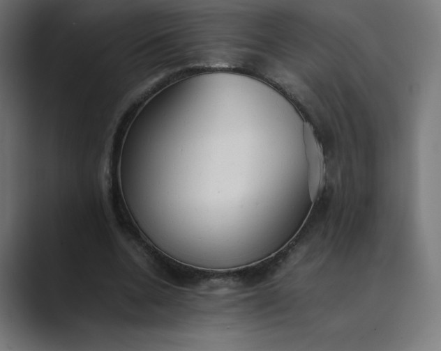 X0000089370536200706291249