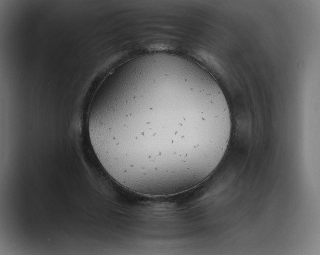 X0000089370539200706291249