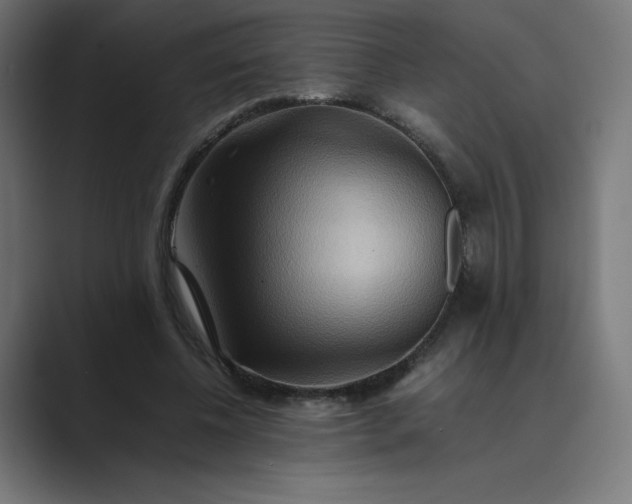 X0000089370540200706291249