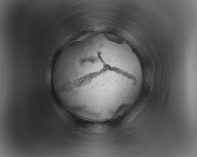 X0000089370542200706291249