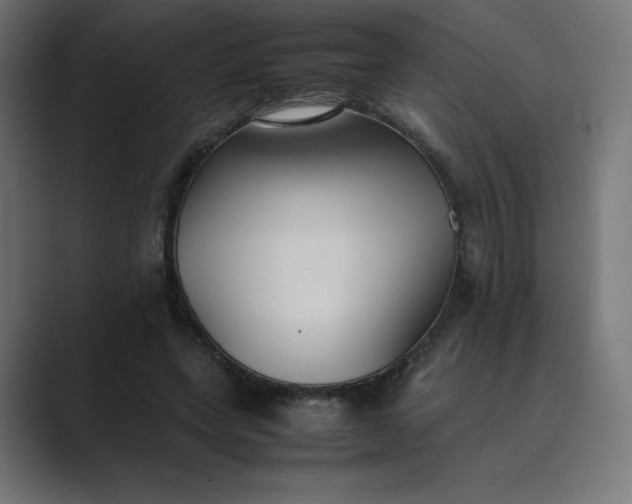 X0000089370543200706291249