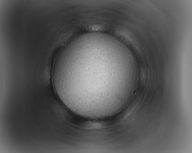 X0000089370545200706291249