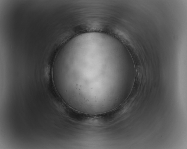X0000089370550200706291249