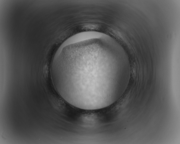 X0000089370551200706291249